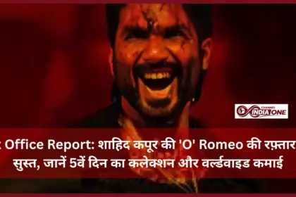 'O' Romeo Box Office Collection
