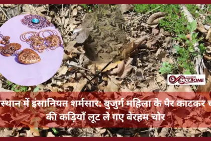 Thieves Killed women in Rajasthan