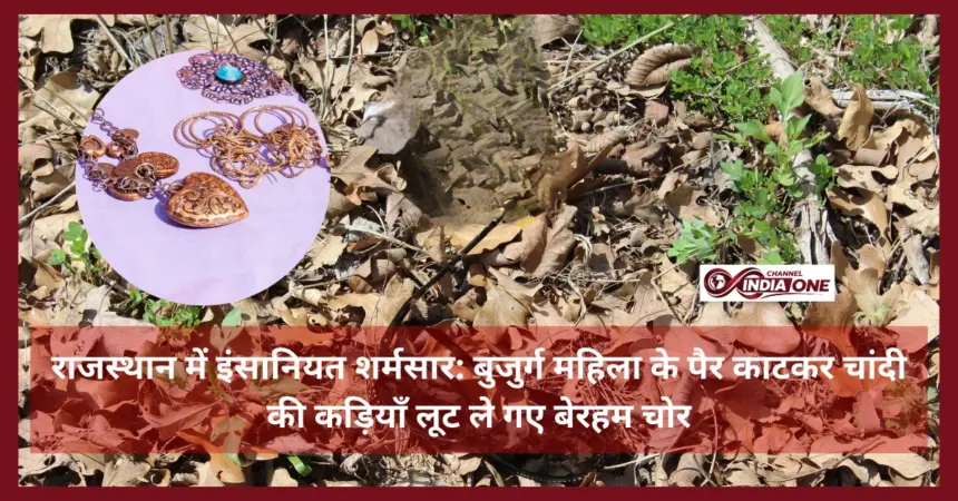 Thieves Killed women in Rajasthan