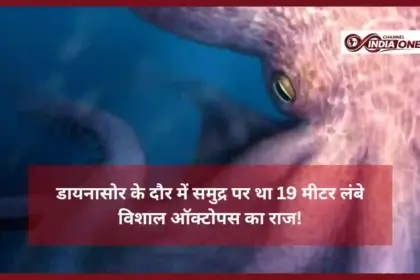 Giant Octopus Research