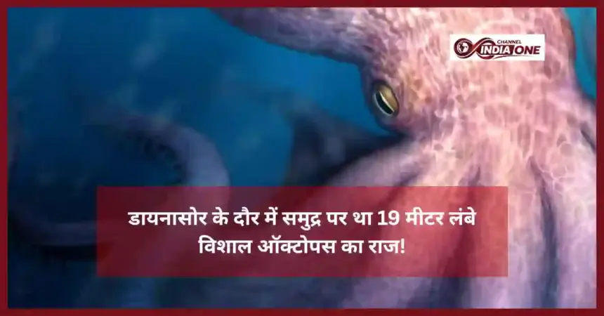 Giant Octopus Research